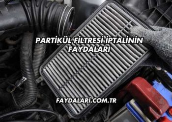 Partikül Filtresi İptalinin Faydaları