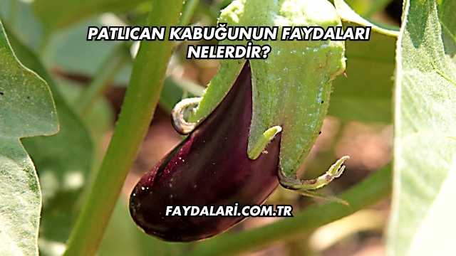 Patlıcan Kabuğunun Faydaları Nelerdir?