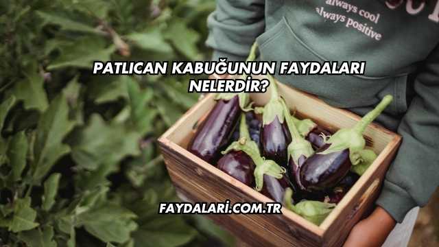 Patlıcan Kabuğunun Faydaları Nelerdir?