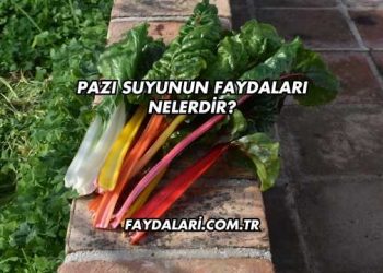 Pazı Suyunun Faydaları Nelerdir