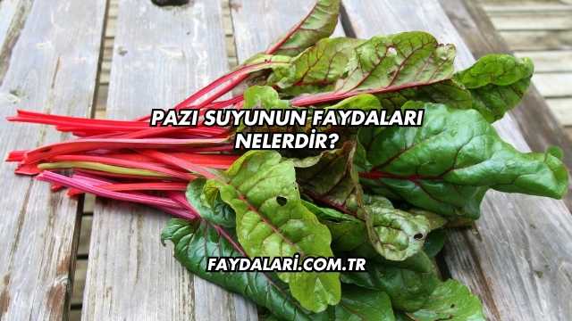 Pazı Suyunun Faydaları Nelerdir