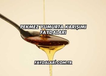 Pekmez Yumurta Karışımı Faydaları