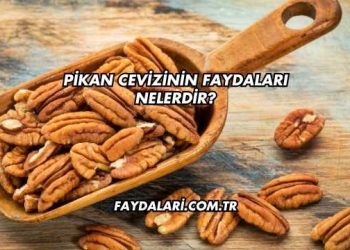 Pikan Cevizinin Faydaları Nelerdir?