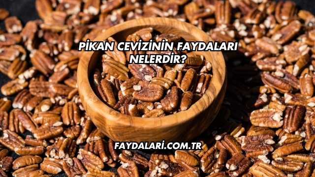 Pikan Cevizinin Faydaları Nelerdir?