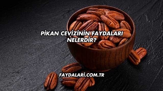Pikan Cevizinin Faydaları Nelerdir?