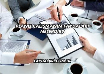 Planlı Çalışmanın Faydaları Nelerdir?