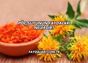 Pöç Suyunun Faydaları Nelerdir?