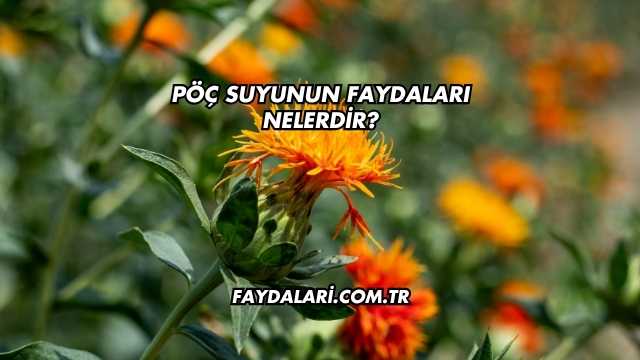 Pöç Suyunun Faydaları Nelerdir?