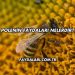 Polenin Faydaları Nelerdir?