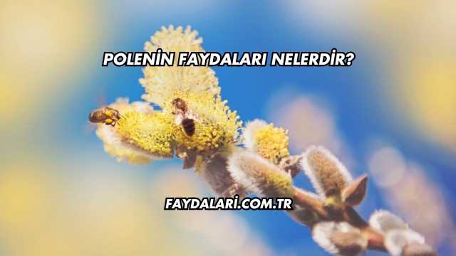 Polenin Faydaları Nelerdir?