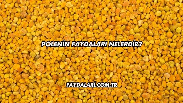 Polenin Faydaları Nelerdir?