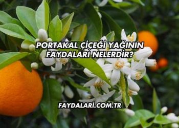 Portakal Çiçeği Yağının Faydaları Nelerdir?