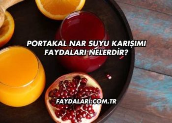 Portakal Nar Suyu Karışımı Faydaları Nelerdir?