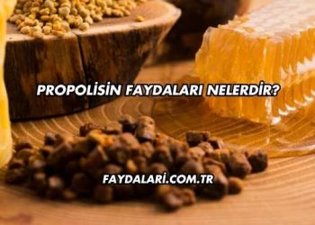 Propolisin Faydaları Nelerdir?