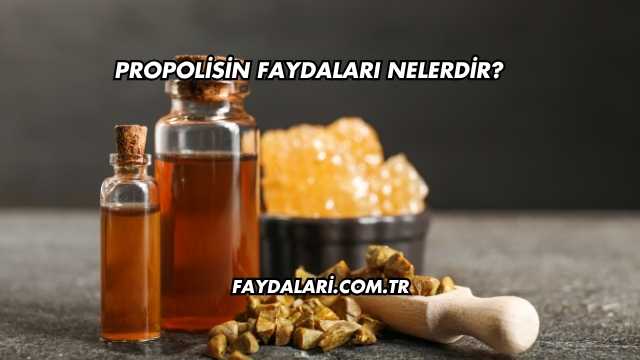 Propolisin Faydaları Nelerdir?