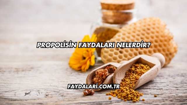 Propolisin Faydaları Nelerdir?