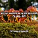 Reishi Mantarı Ekstraktının Faydaları