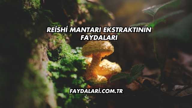 Reishi Mantarı Ekstraktının Faydaları