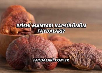 Reishi Mantarı Kapsülünün Faydaları?