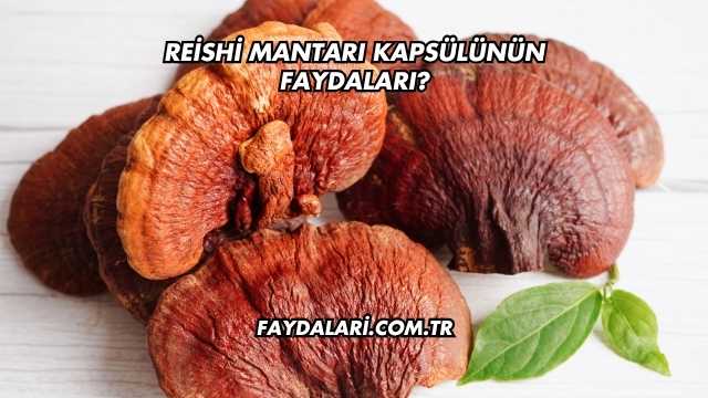Reishi Mantarı Kapsülünün Faydaları?