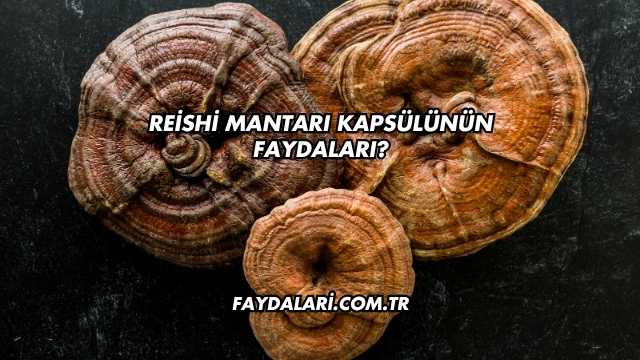 Reishi Mantarı Kapsülünün Faydaları?