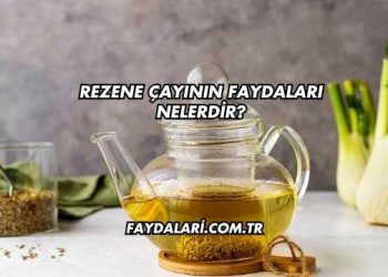 Rezene Çayının Faydaları Nelerdir?