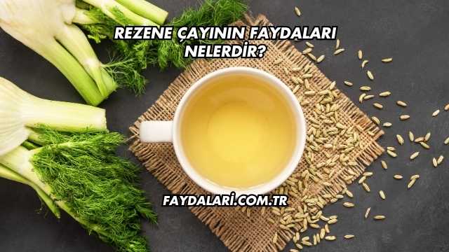 Rezene Çayının Faydaları Nelerdir?
