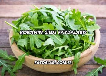 Rokanın Cilde Faydaları?