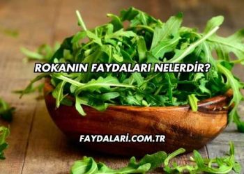 Rokanın Faydaları Nelerdir?