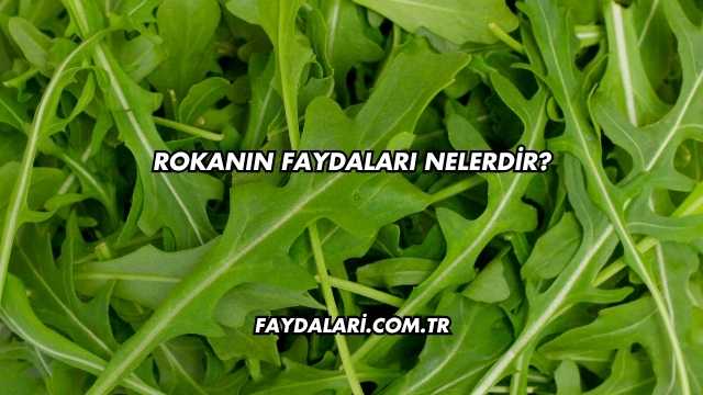 Rokanın Faydaları Nelerdir?