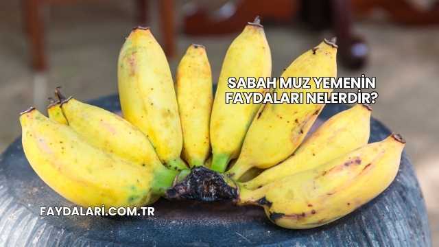 Sabah Muz Yemenin Faydaları Nelerdir?