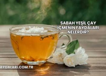 Sabah Yeşil Çay İçmenin Faydaları Nelerdir?