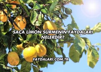 Saça Limon Sürmenin Faydaları Nelerdir?
