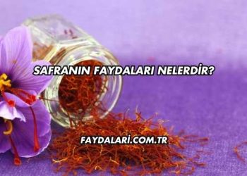 Safranın Faydaları Nelerdir?
