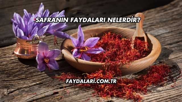 Safranın Faydaları Nelerdir?