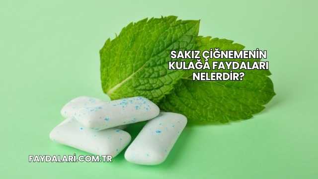 Sakız Çiğnemenin Kulağa Faydaları Nelerdir?