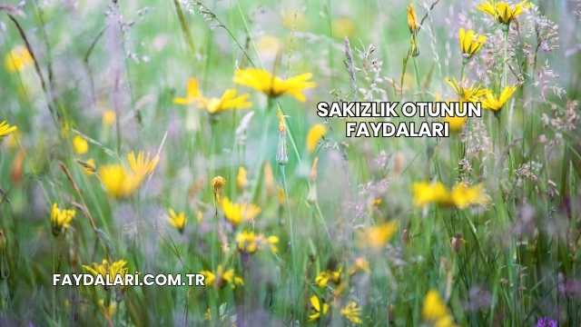 Sakızlık Otunun Faydaları Nelerdir?