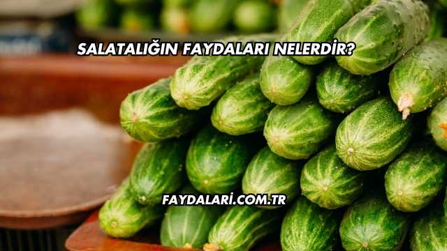 Salatalığın Faydaları Nelerdir?