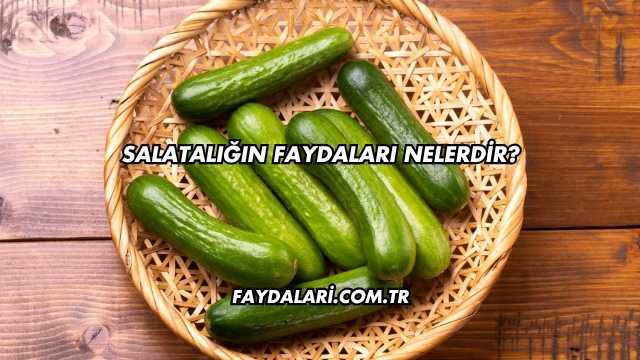 Salatalığın Faydaları Nelerdir?