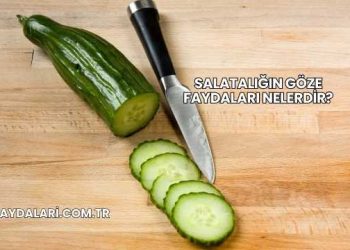 Salatalığın Göze Faydaları Nelerdir?
