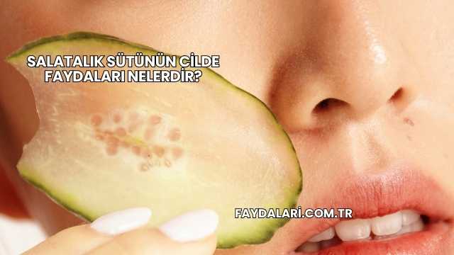 Salatalık Sütünün Cilde Faydaları Nelerdir?