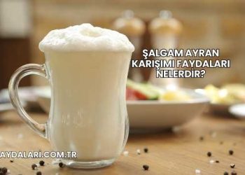 Şalgam Ayran Karışımı Faydaları Nelerdir?
