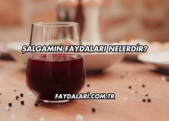 Şalgamın Faydaları Nelerdir?