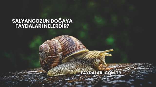 Salyangozun Doğaya Faydaları Nelerdir?
