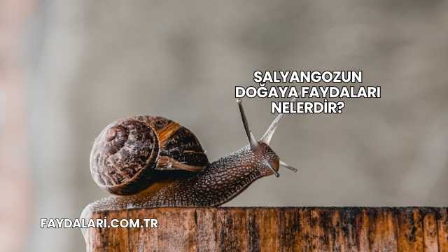Salyangozun Doğaya Faydaları Nelerdir?