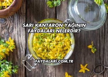 Sarı Kantaron Yağının Faydaları Nelerdir?