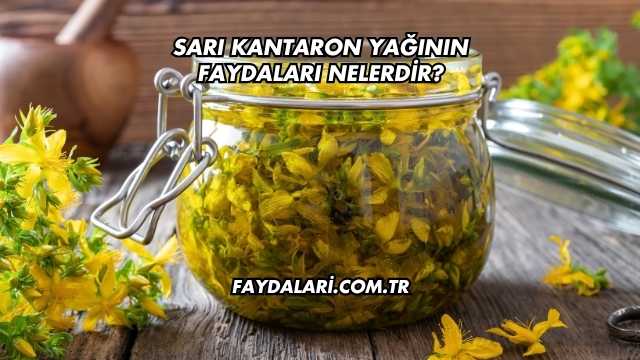Sarı Kantaron Yağının Faydaları Nelerdir?