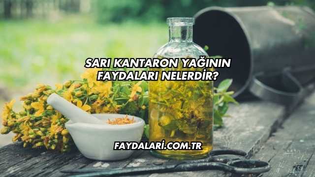 Sarı Kantaron Yağının Faydaları Nelerdir?