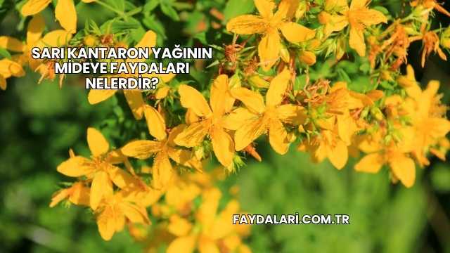 Sarı Kantaron Yağının Mideye Faydaları Nelerdir?