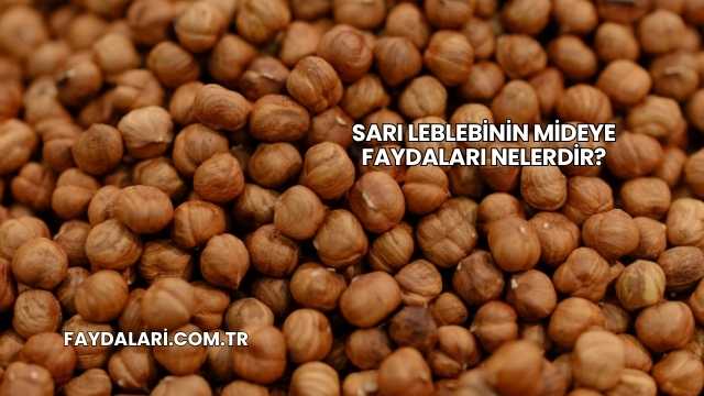 Sarı Leblebinin Mideye Faydaları Nelerdir?